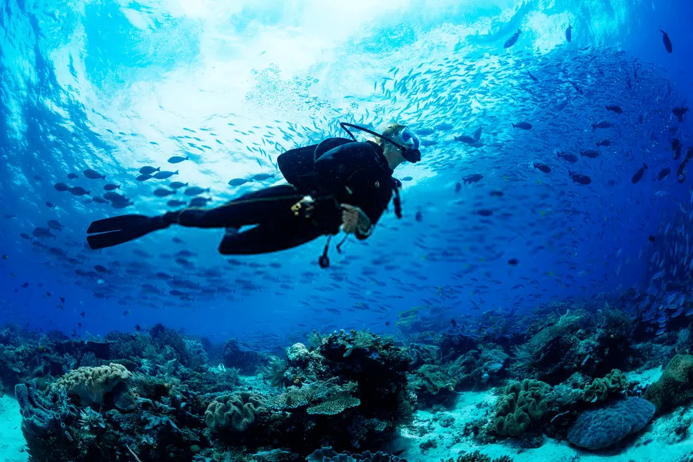 Scuba Diving in Baga Goa